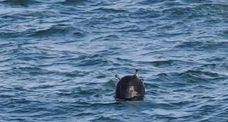 Militer Turki Ledakan Ranjau Yang Hanyut Dari Laut Hitam